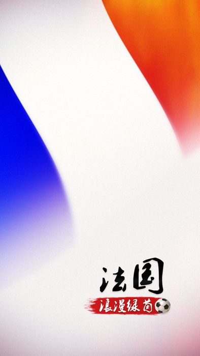 世界杯换肤_法国.jpg